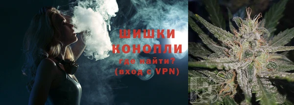 ПСИЛОЦИБИНОВЫЕ ГРИБЫ Арсеньев