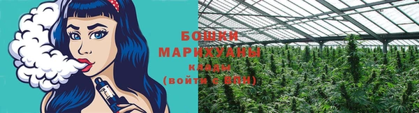 гашик Аркадак