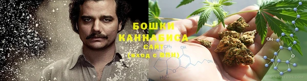 гашик Аркадак