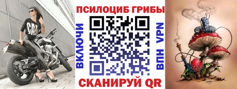 купить закладку  Петухово  Галлюциногенные грибы Psilocybine cubensis 